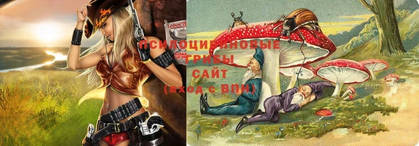 соль ск Абаза