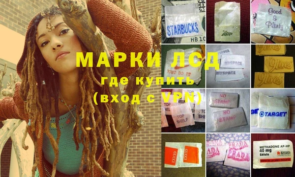 сатива Абинск
